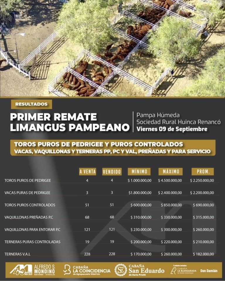 RESULTADOS del 1er REMATE LIMANGUS PAMPEANO