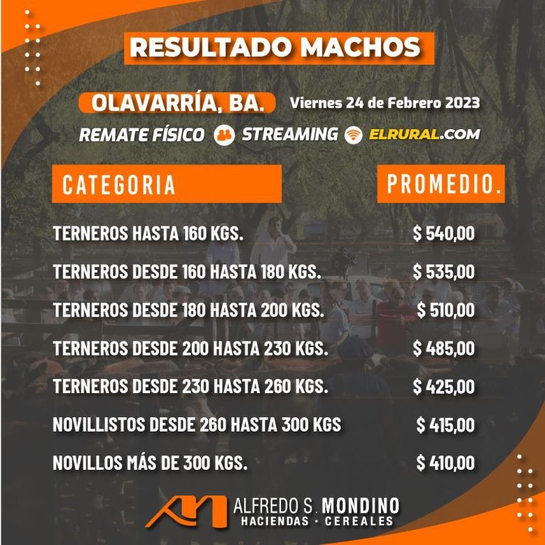 Resultados Olavarría – Machos – 24 de febrero