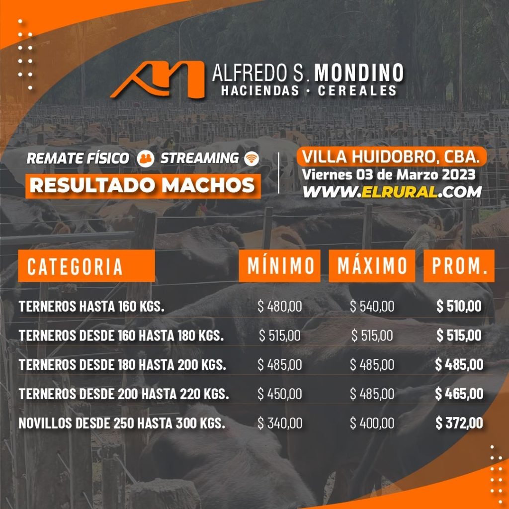 Resultados Remate Villa Huidobro – Machos – 03 de Marzo