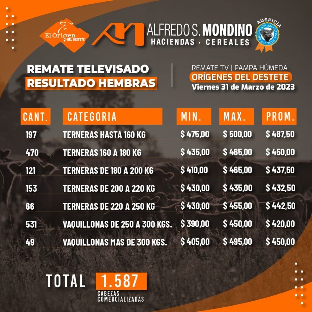 Resultados Hembras – 31 de marzo