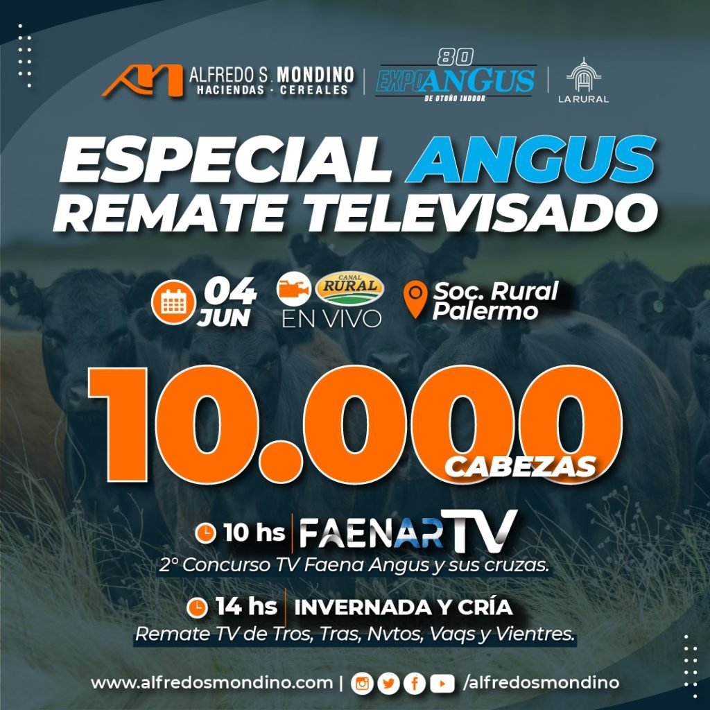 Especial Angus