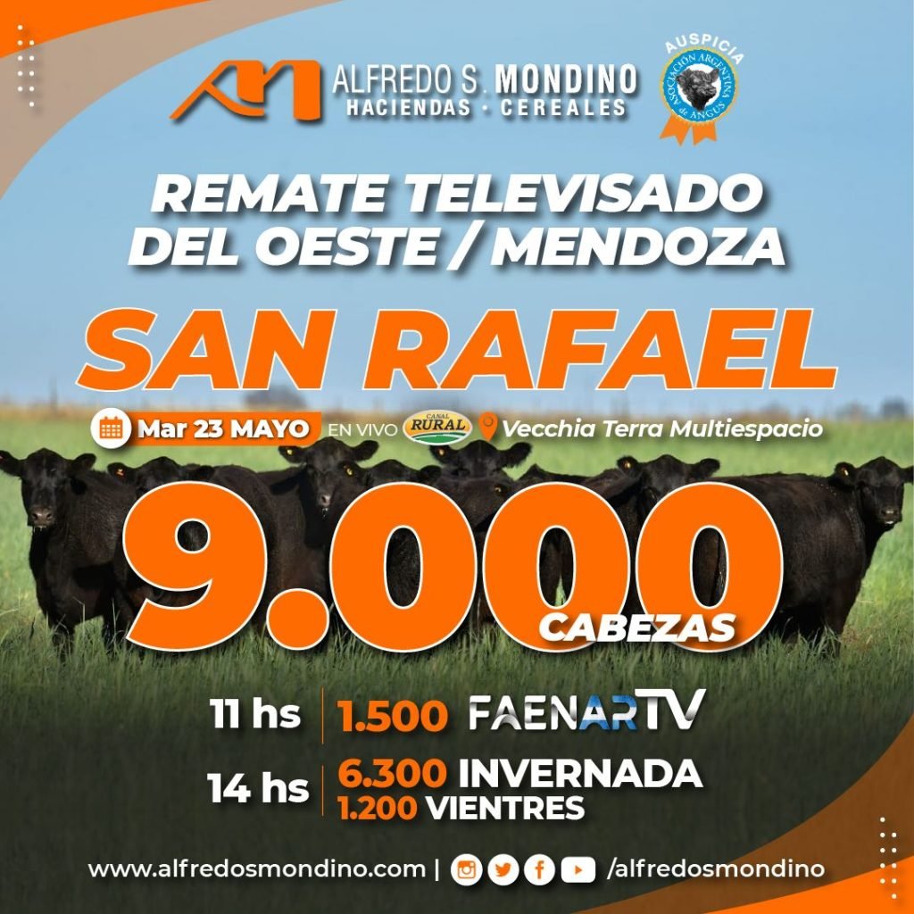 Remate Televisado del Oeste