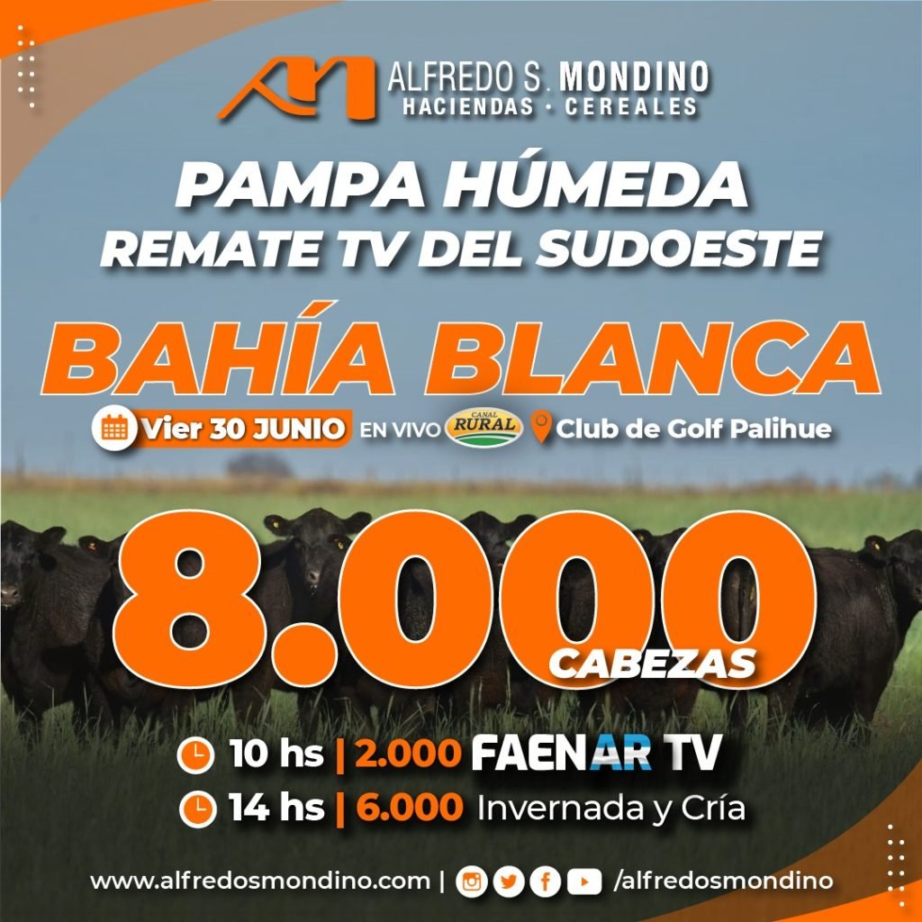 Bahía Blanca BS AS
