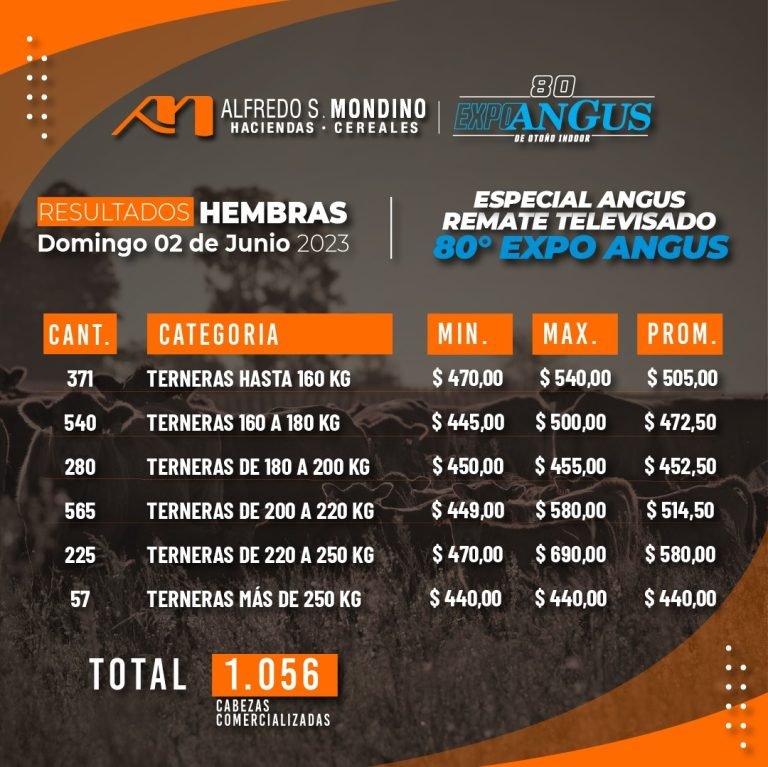 Resultados Hembras Especial Angus 4 de junio