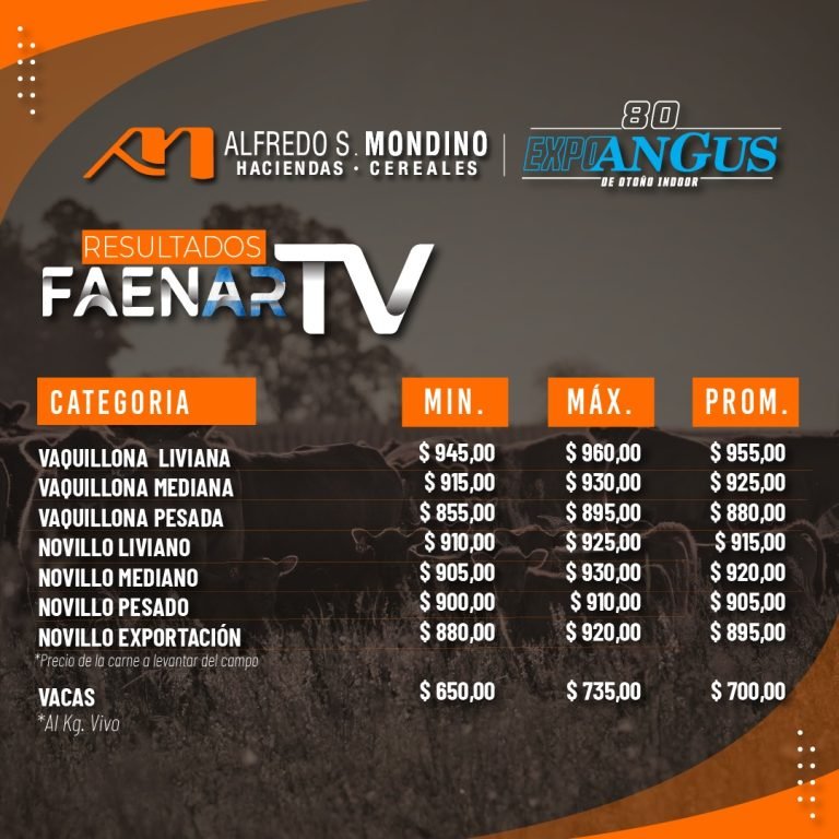 Resultados Faenar Especial Angus 4 de junio
