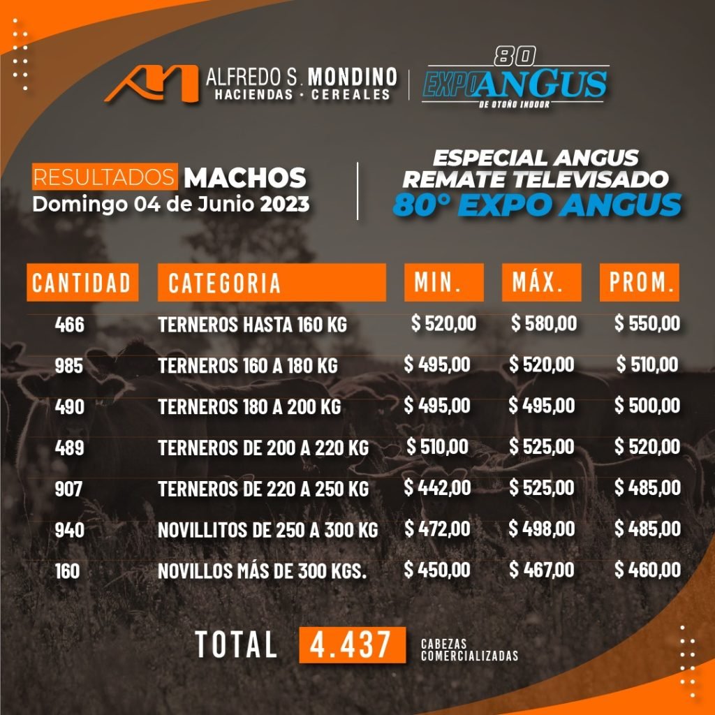 Resultados Especial Angus 4 de junio