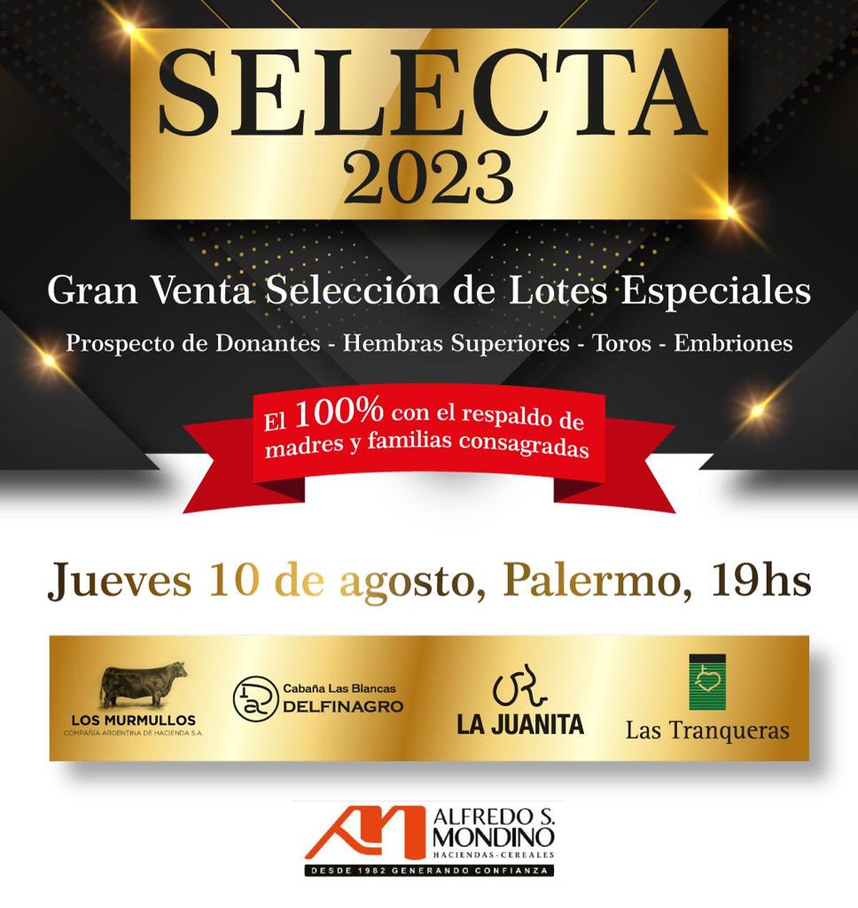 Selecta 2023 – Palermo