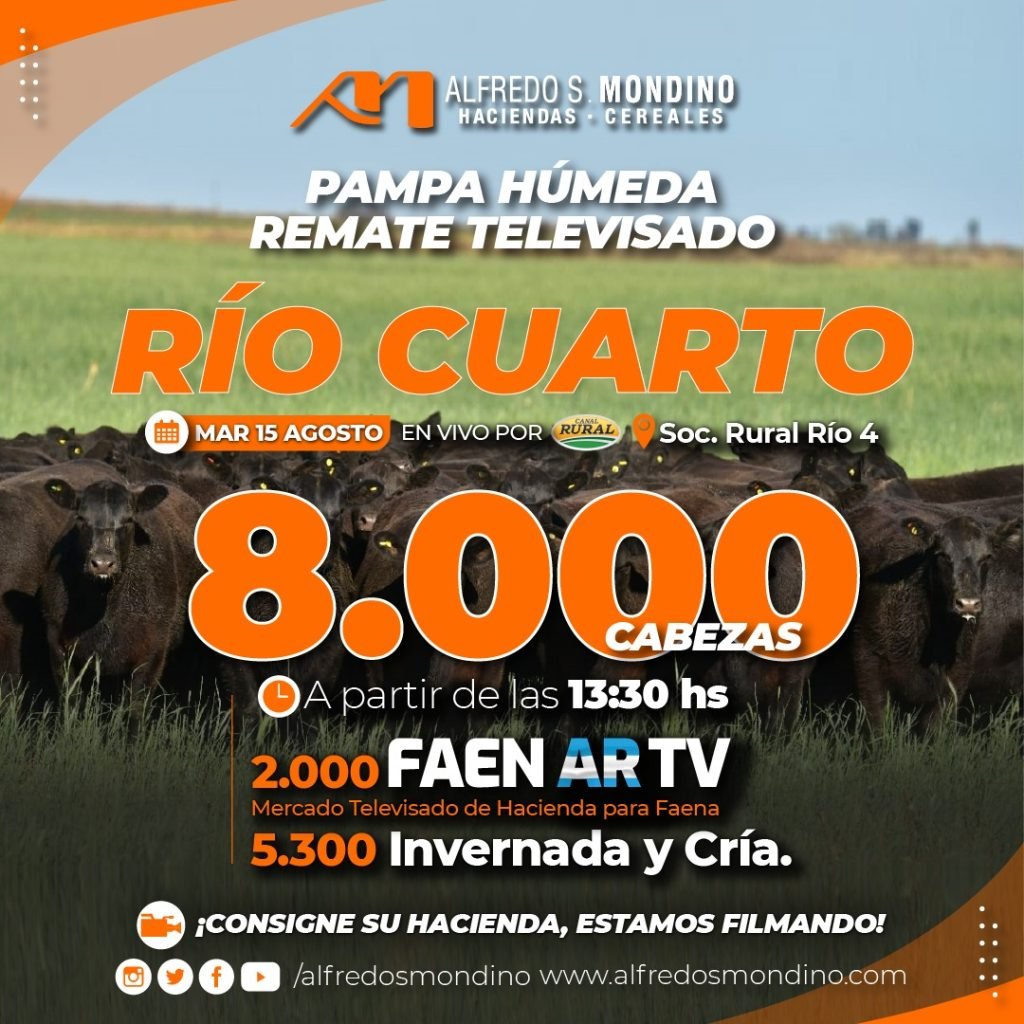 Remate Televisado – La Pampa Húmeda
