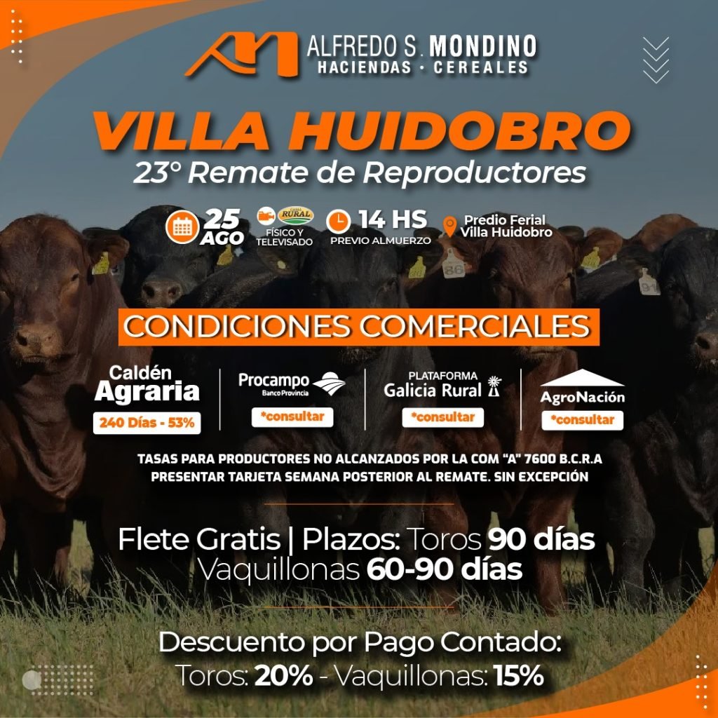 Villa Huidobro