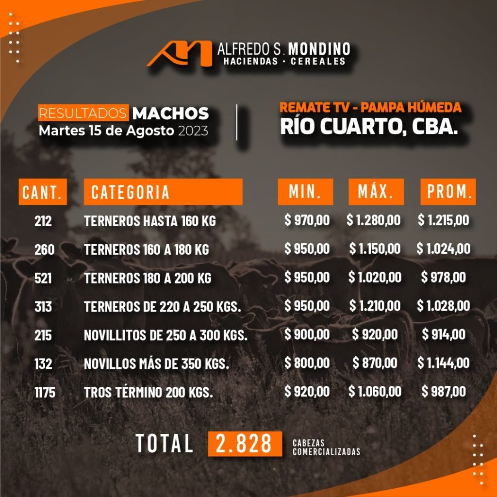 Resultados Machos 15 de agosto