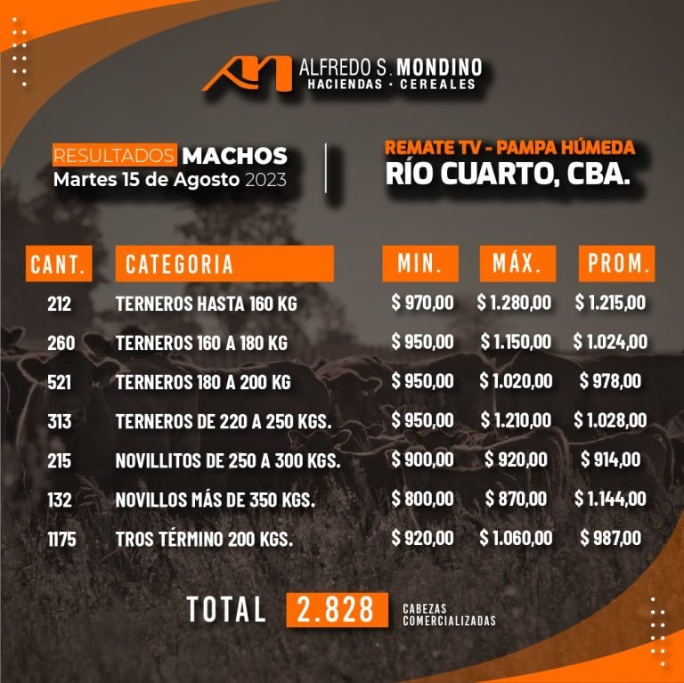 Resultados Machos 15 de agosto