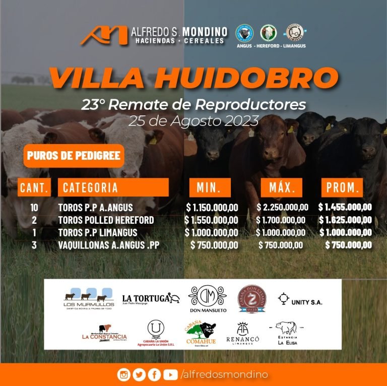 Resultados Puros de Pedigree – 25 de agosto