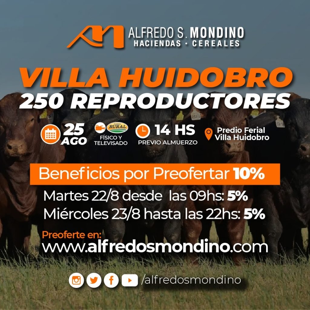 Villa Huidobro