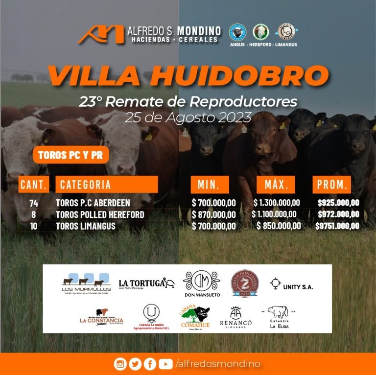 Resultados Toros PC y PR – 25 de agosto