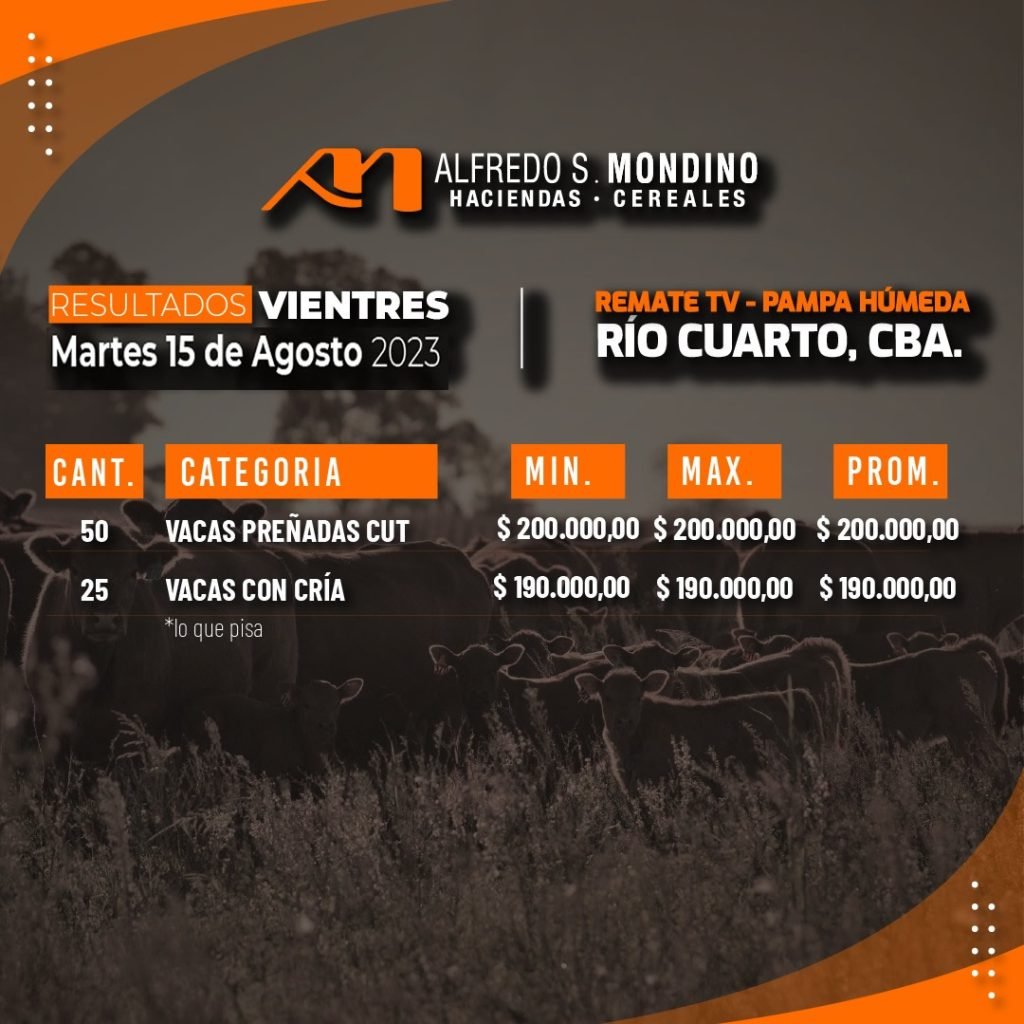 Resultados Vientres 15 de agoto