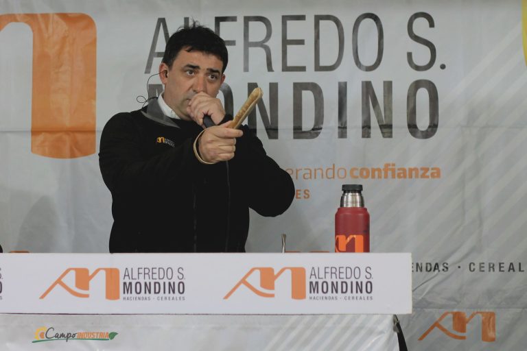 Resumen en fotos de nuestro emocionante Remate en la Pampa Húmeda del centro del País.