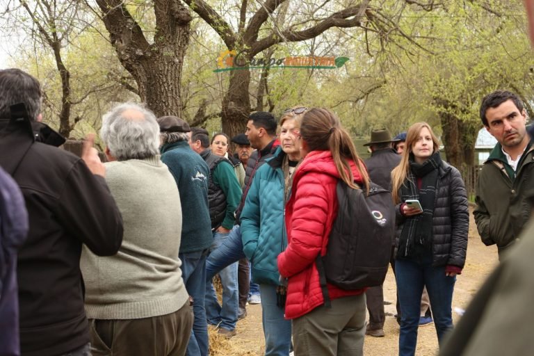 Resumen en fotos de nuestro emocionante Remate en la Pampa Húmeda del centro del País.