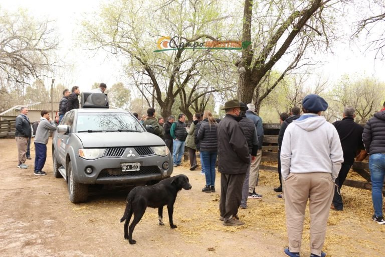 Resumen en fotos de nuestro emocionante Remate en la Pampa Húmeda del centro del País.