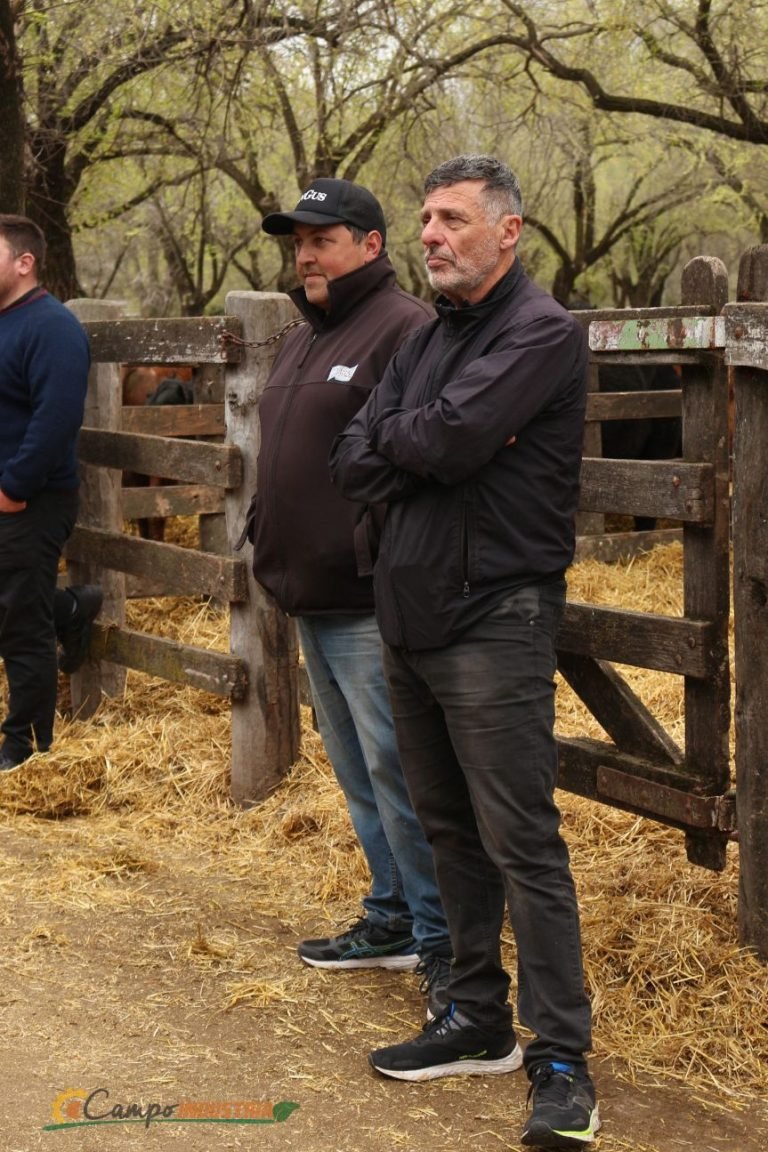 Resumen en fotos de nuestro emocionante Remate en la Pampa Húmeda del centro del País.