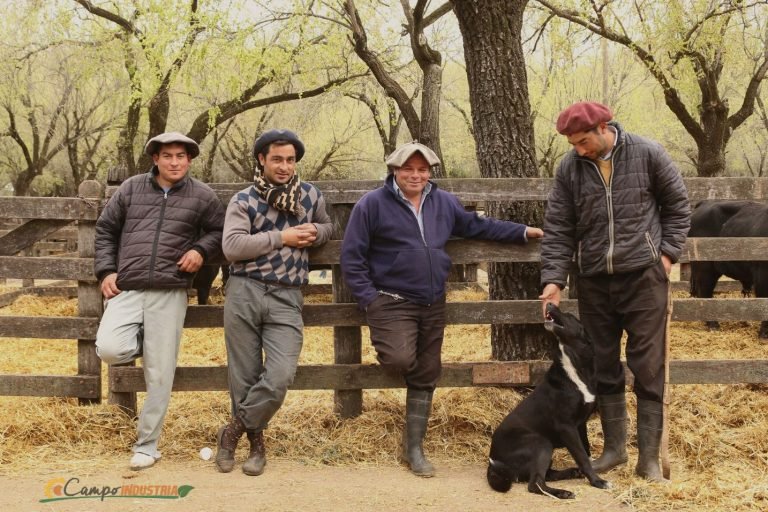 Resumen en fotos de nuestro emocionante Remate en la Pampa Húmeda del centro del País.