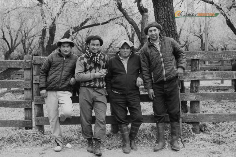 Resumen en fotos de nuestro emocionante Remate en la Pampa Húmeda del centro del País.