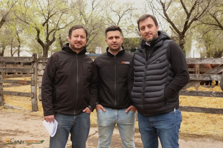 Resumen en fotos de nuestro emocionante Remate en la Pampa Húmeda del centro del País.