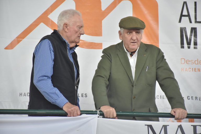 SUPERÓ EL MILLÓN DE PESOS EL PROMEDIO DE LOS TOROS BRAFORD REMATADOS EN BUENA ESPERANZA POR LA FIRMA MONDINO
