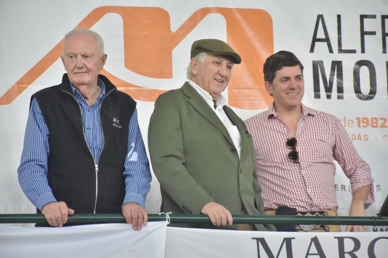SUPERÓ EL MILLÓN DE PESOS EL PROMEDIO DE LOS TOROS BRAFORD REMATADOS EN BUENA ESPERANZA POR LA FIRMA MONDINO