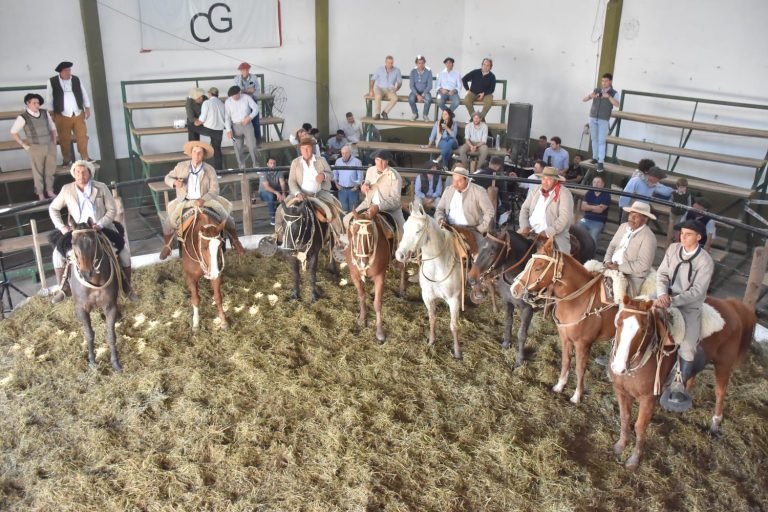 SUPERÓ EL MILLÓN DE PESOS EL PROMEDIO DE LOS TOROS BRAFORD REMATADOS EN BUENA ESPERANZA POR LA FIRMA MONDINO