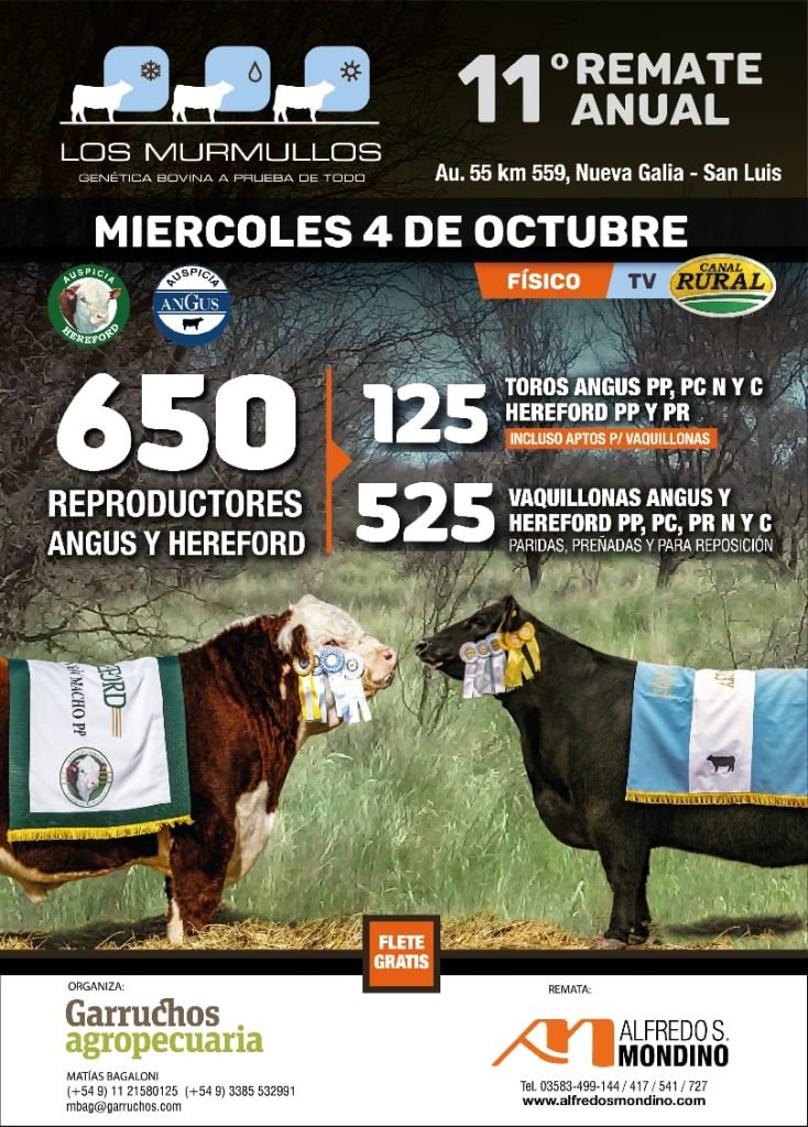 Los Murmullos 11° Remate Anual