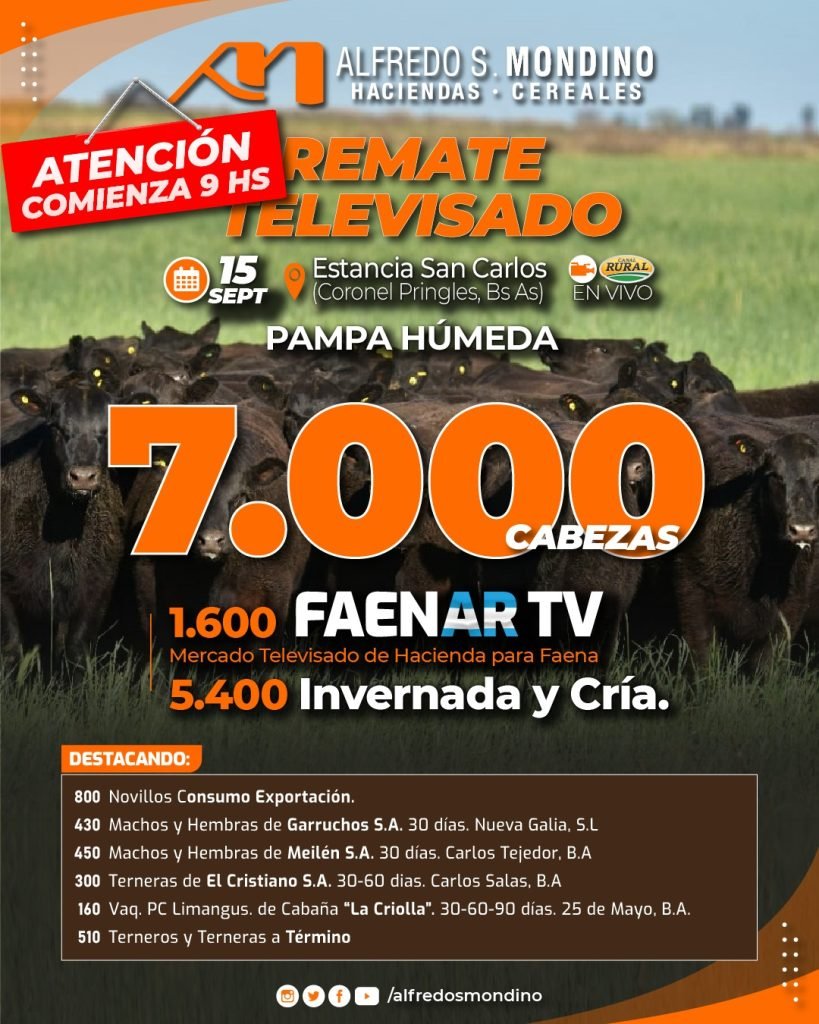 Pampa Húmeda TV