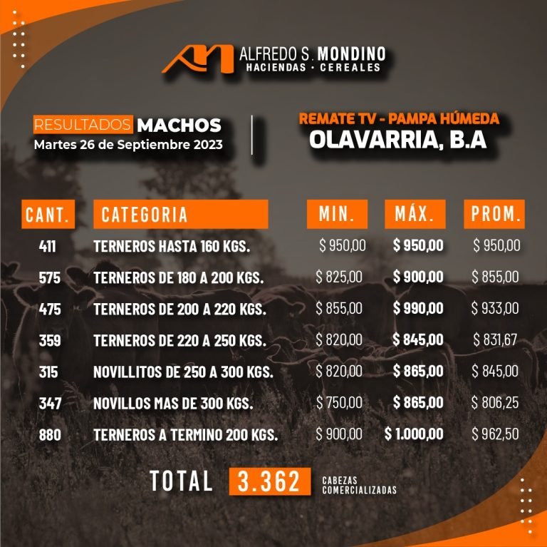 Resultados Machos – Olavarría 26 de septiembre