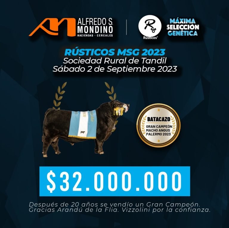 Resultado Rústicos MSG 2023