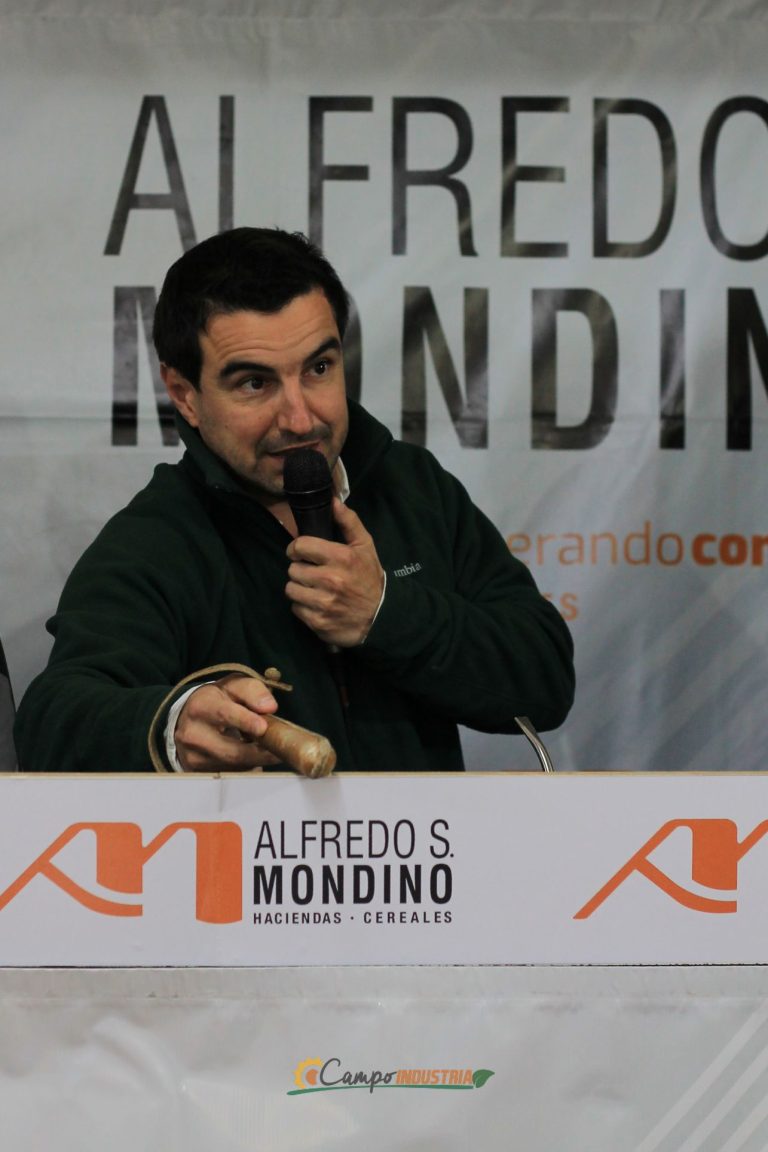 Resumen en fotos de nuestro emocionante Remate en la Pampa Húmeda del centro del País.