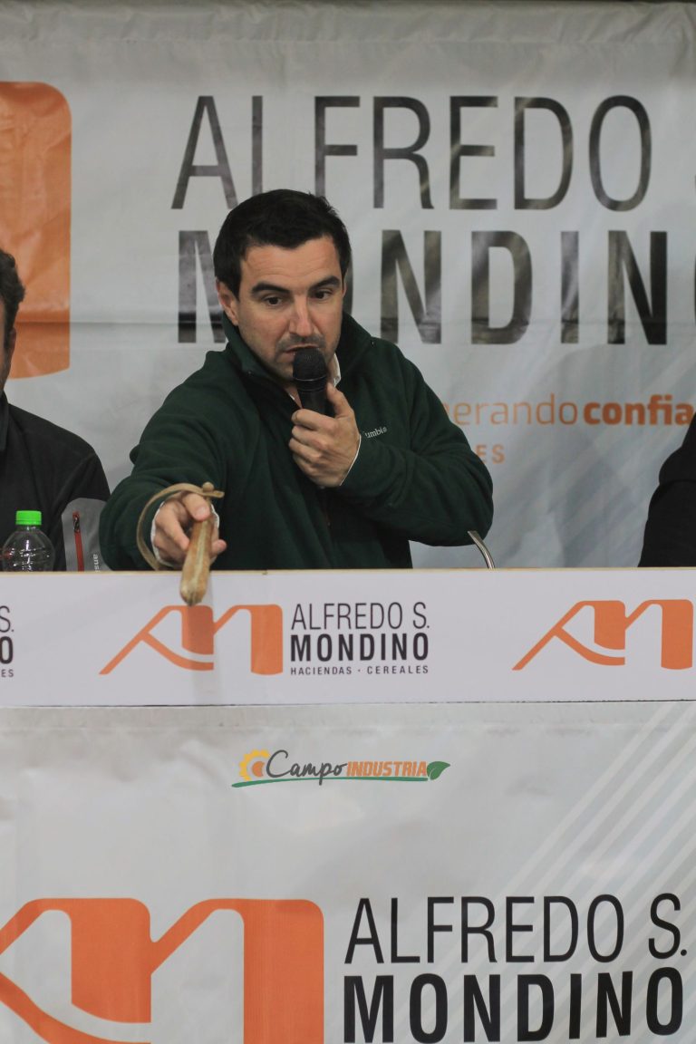 Resumen en fotos de nuestro emocionante Remate en la Pampa Húmeda del centro del País.