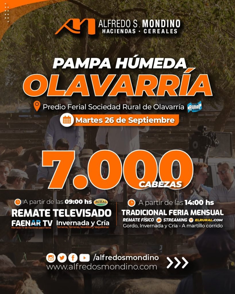 Olavarría
