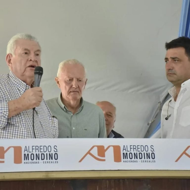 MONDINO LOGRÓ LOS PROMEDIOS MÁS ALTOS DEL AÑO EN EL REMATE DE CABAÑA LA PAZ DE WERTHEIN