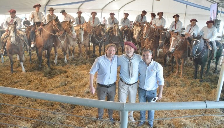 MUY BUENOS VALORES EN EL REMATE TELEVISADO QUE MONDINO REALIZÓ DESDE NUEVA GALIA