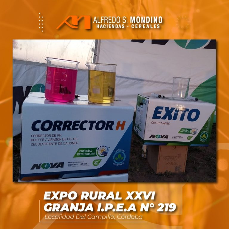Presentes en la EXPO XXVI