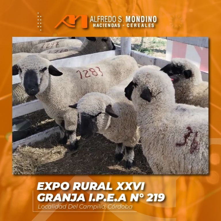 Presentes en la EXPO XXVI