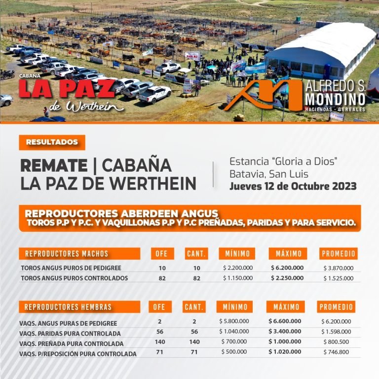 Resultados La Paz de Werthein 12 de Octubre