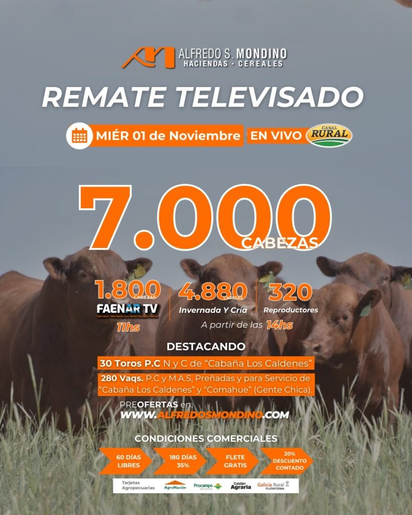 Remate – TV de la Pampa Húmeda