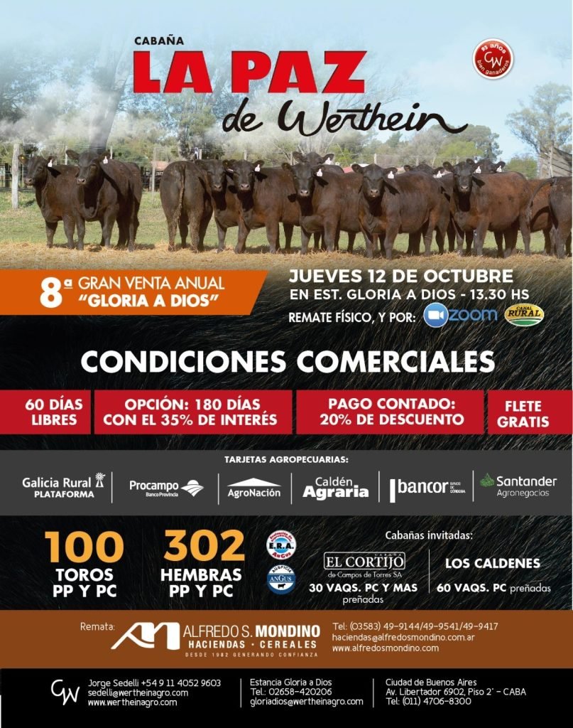 La Paz de Werthein
