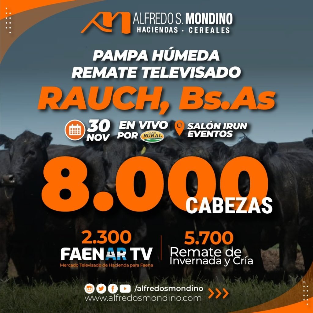 Remate Televisado Rauch BS AS