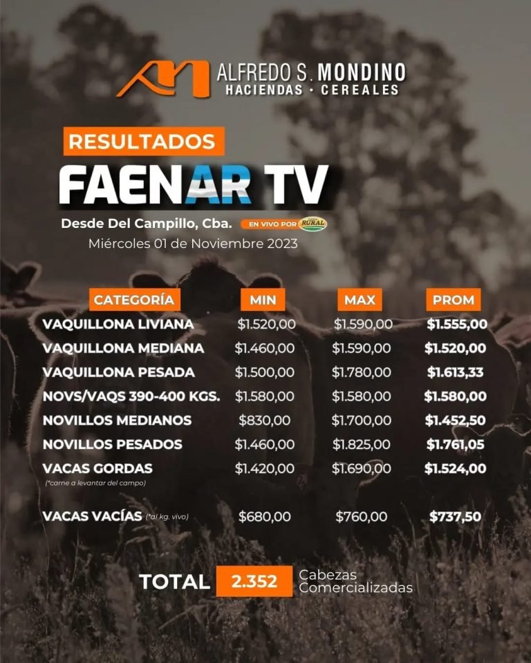Resultados Faenar Del Campillo 01 de noviembre