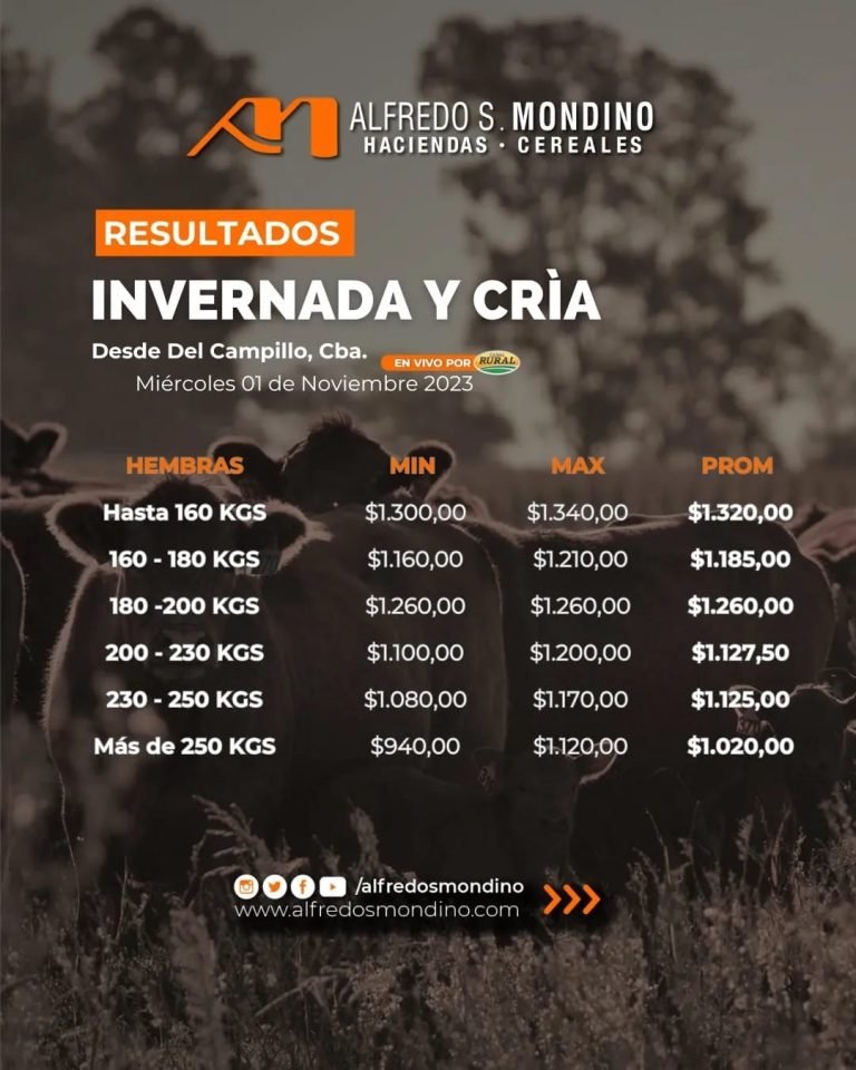 Resultados Hembras Del Campillo 01 de noviembre