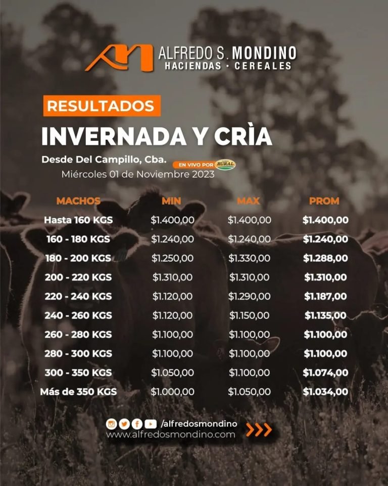 Resultados Machos Del Campillo 01 de noviembre