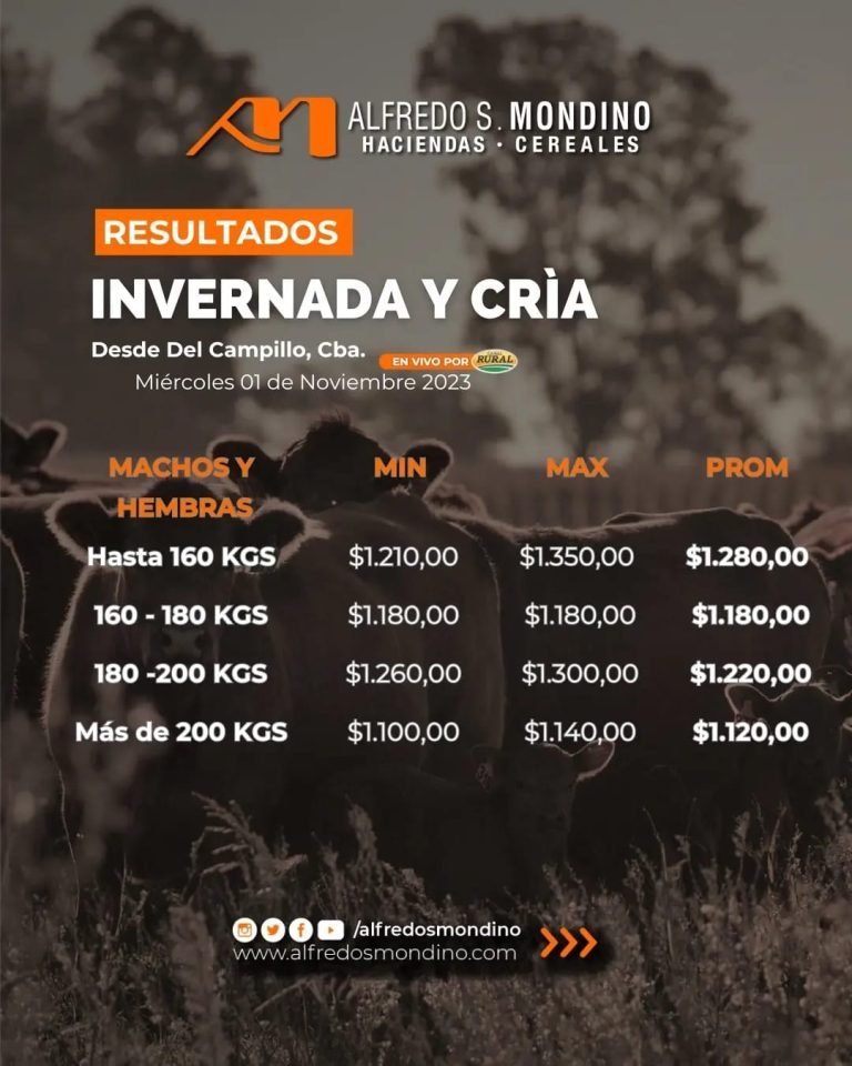 Resultados Machos y Hembras Del Campillo 01 de noviembre