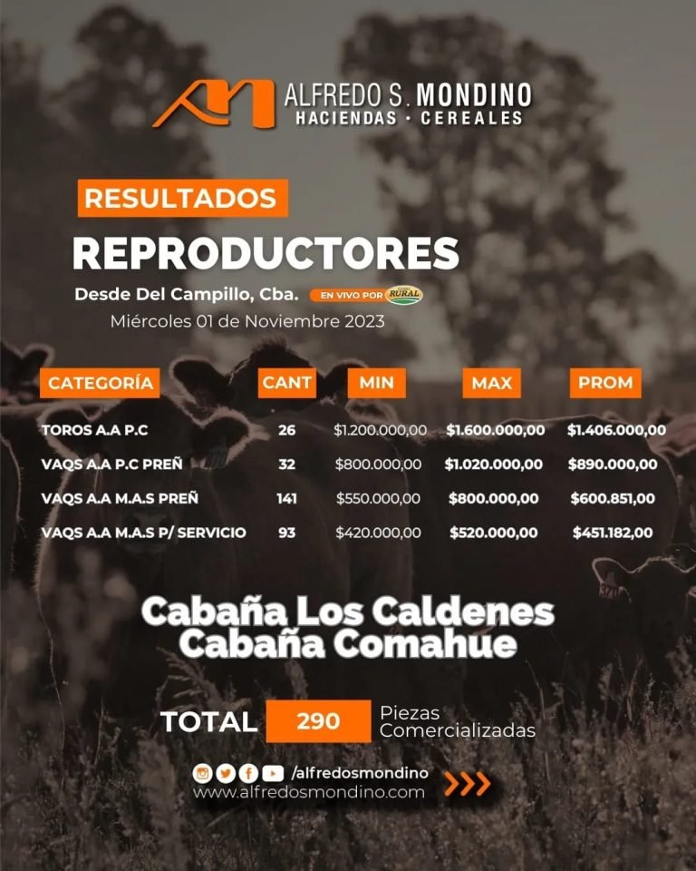 Resultados Reproductores Del Campillo 01 de noviembre