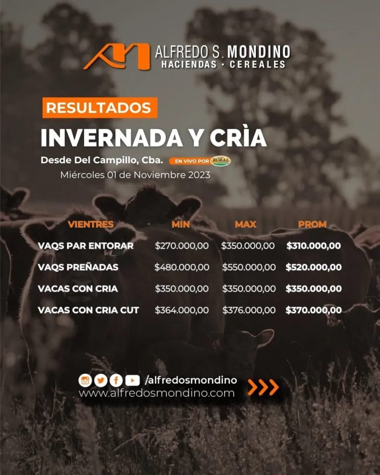 Resultados Vientres Del Campillo 01 de noviembre